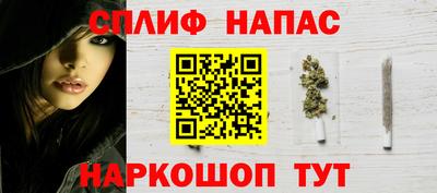 прущие крисы Новозыбков