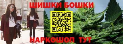 прущие крисы Новозыбков