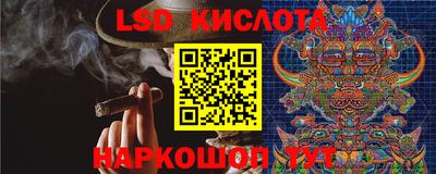 прущие крисы Новозыбков