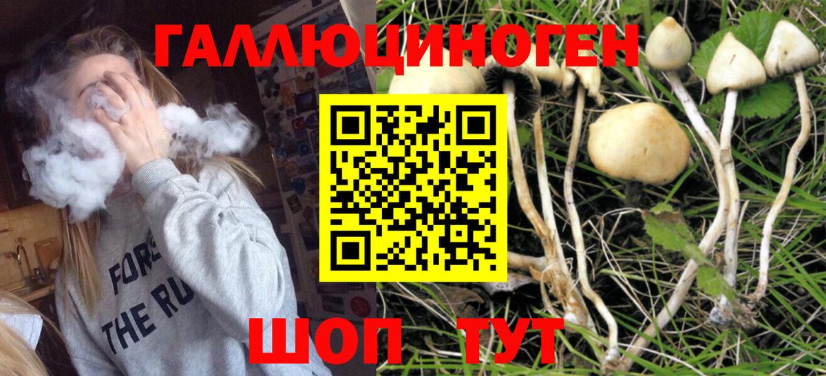 Галлюциногенные грибы MAGIC MUSHROOMS Рубцовск