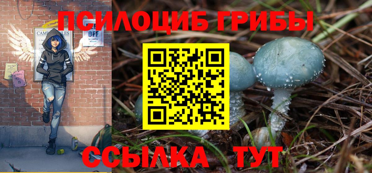 Псилоцибиновые грибы ЛСД  Вход с VPN  где можно купить   Рубцовск 